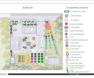 WhatsApp Image 2026-02-11 at 11.16.23