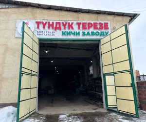 WhatsApp Image 2026-02-12 at 21.30.25